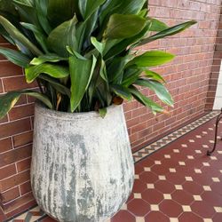 POT - ‘SACK JAR’ FROM KELLOCKS - COST $900! INCLUDES PLANT POT - ‘SACK JAR’ FROM KELLOCKS - COST $900! INCLUDES PLANT